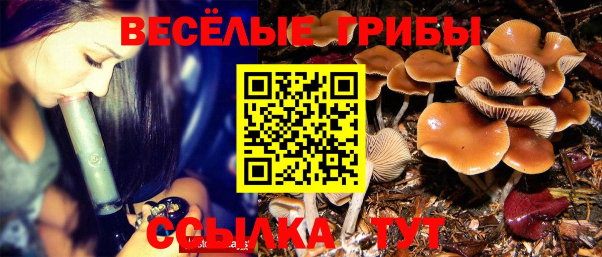 Галлюциногенные грибы Cubensis  Псилоцибиновые грибы мухоморы  цена   Вход с VPN  Бирск 